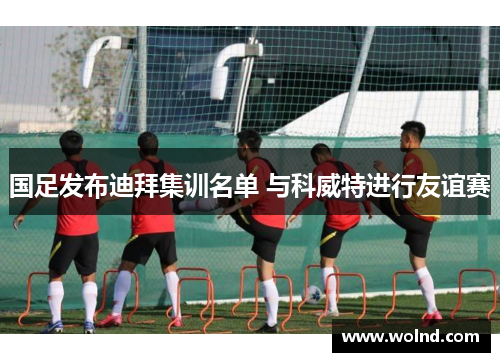 国足发布迪拜集训名单 与科威特进行友谊赛